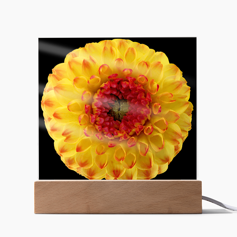 “Printed Square Acrylic Plaque – Handcrafted Vibrant Wall Flower”