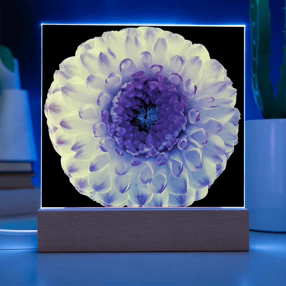 “Printed Square Acrylic Plaque – Handcrafted Vibrant Wall Flower”