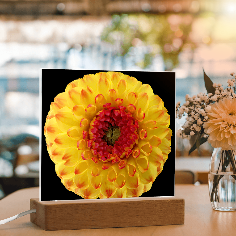 “Printed Square Acrylic Plaque – Handcrafted Vibrant Wall Flower”