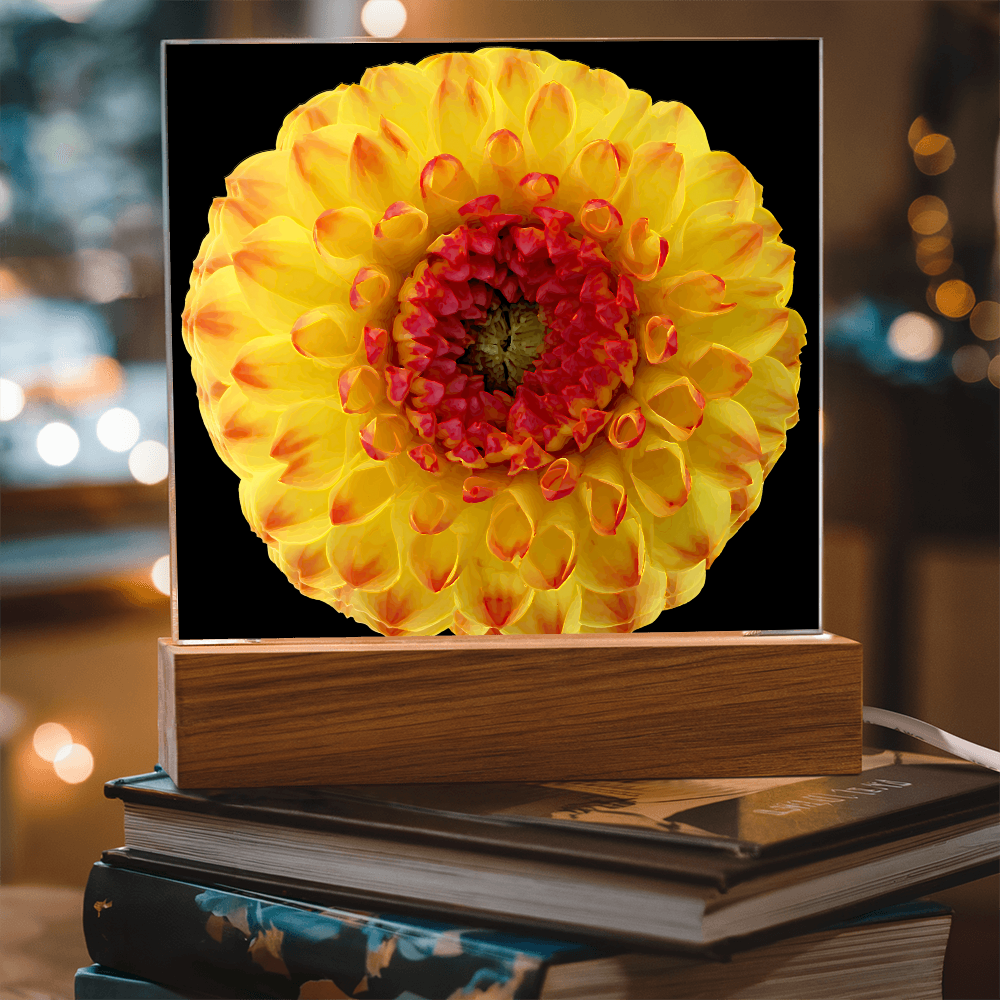 “Printed Square Acrylic Plaque – Handcrafted Vibrant Wall Flower”
