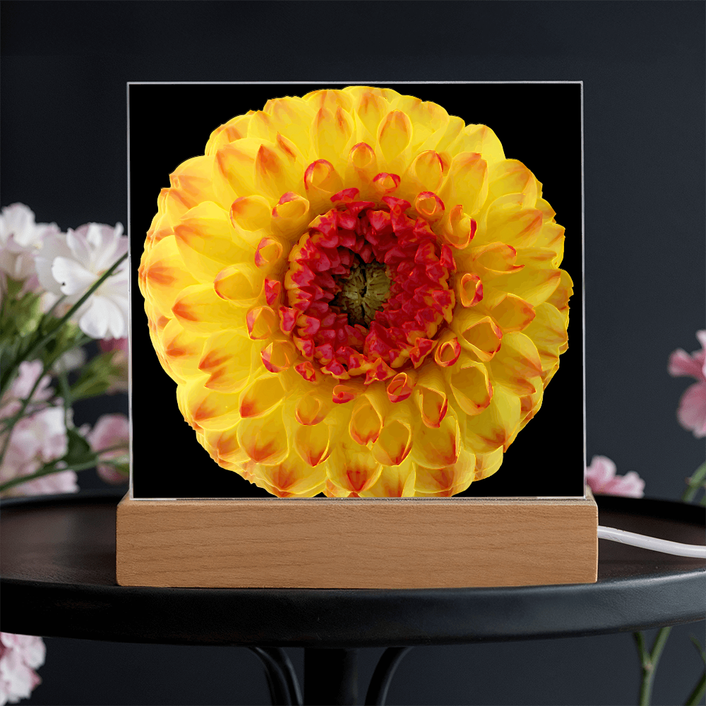 “Printed Square Acrylic Plaque – Handcrafted Vibrant Wall Flower”