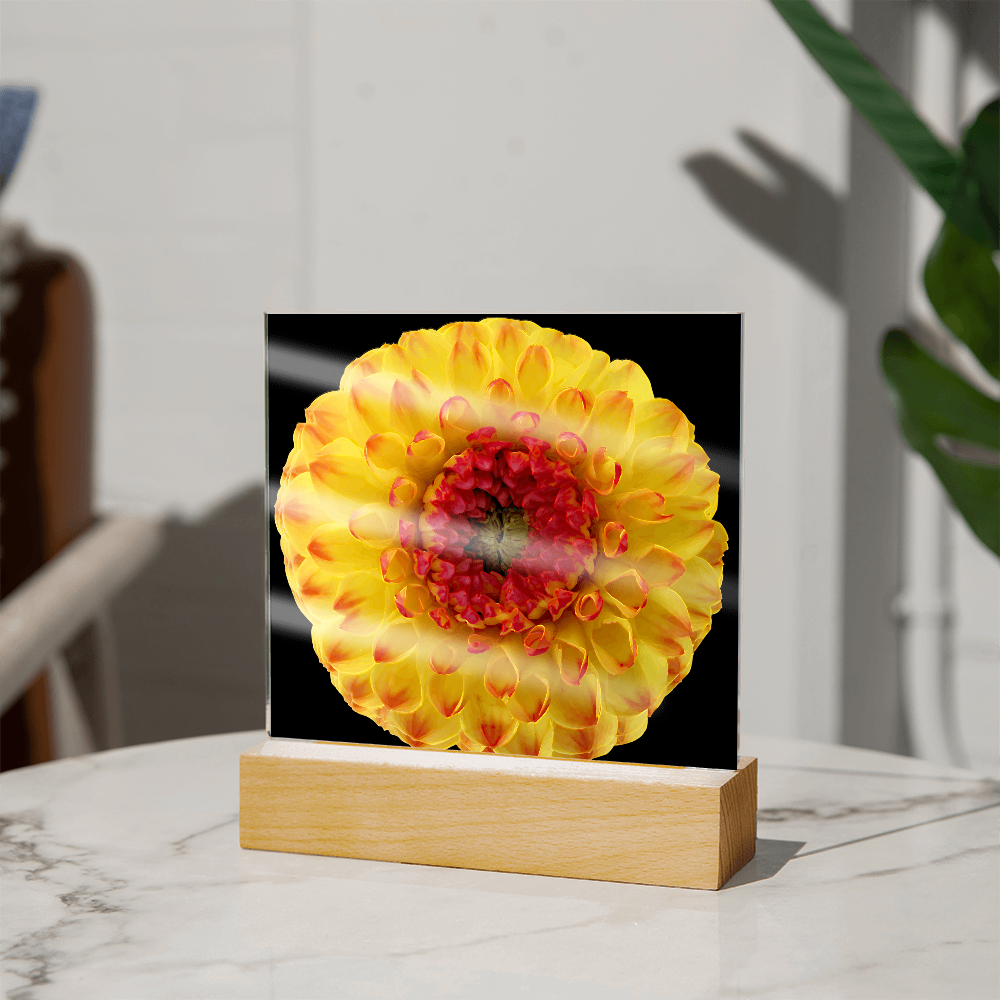 “Printed Square Acrylic Plaque – Handcrafted Vibrant Wall Flower”
