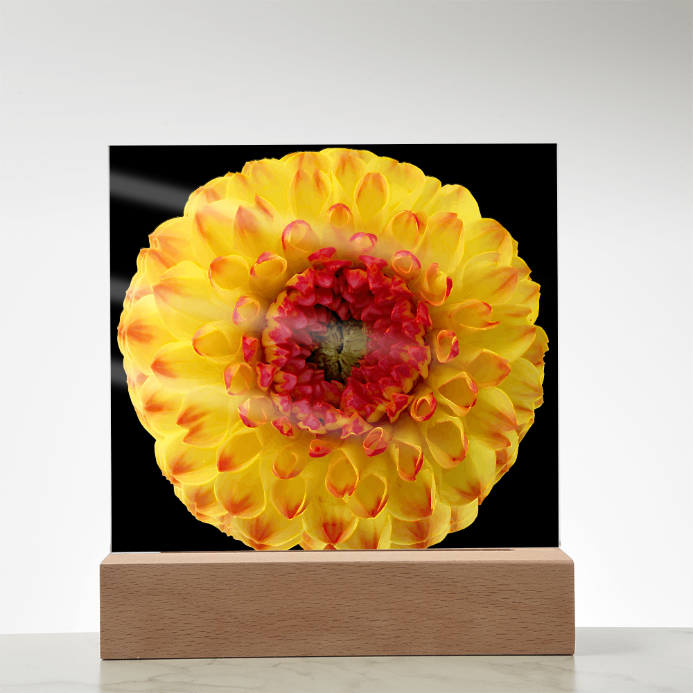 “Printed Square Acrylic Plaque – Handcrafted Vibrant Wall Flower”