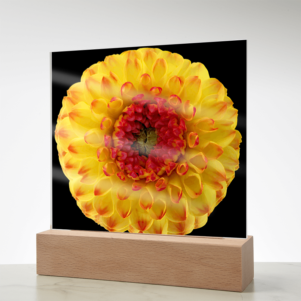 “Printed Square Acrylic Plaque – Handcrafted Vibrant Wall Flower”