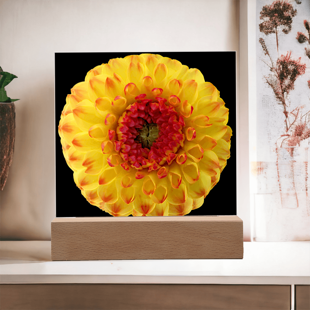 “Printed Square Acrylic Plaque – Handcrafted Vibrant Wall Flower”