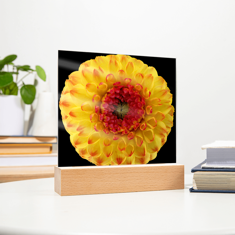 “Printed Square Acrylic Plaque – Handcrafted Vibrant Wall Flower”