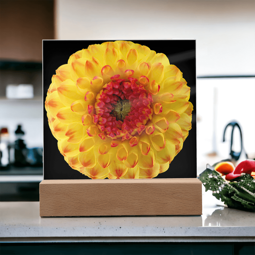 “Printed Square Acrylic Plaque – Handcrafted Vibrant Wall Flower”