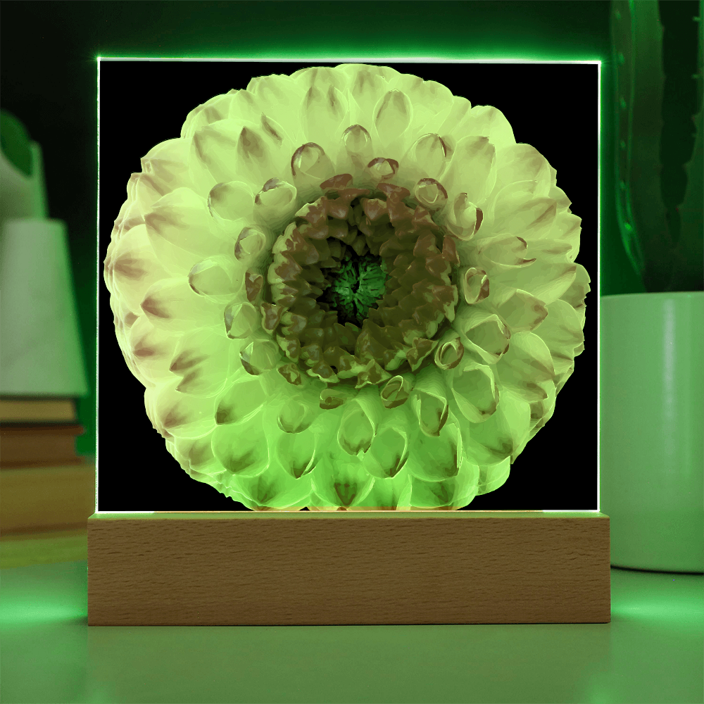 “Printed Square Acrylic Plaque – Handcrafted Vibrant Wall Flower”