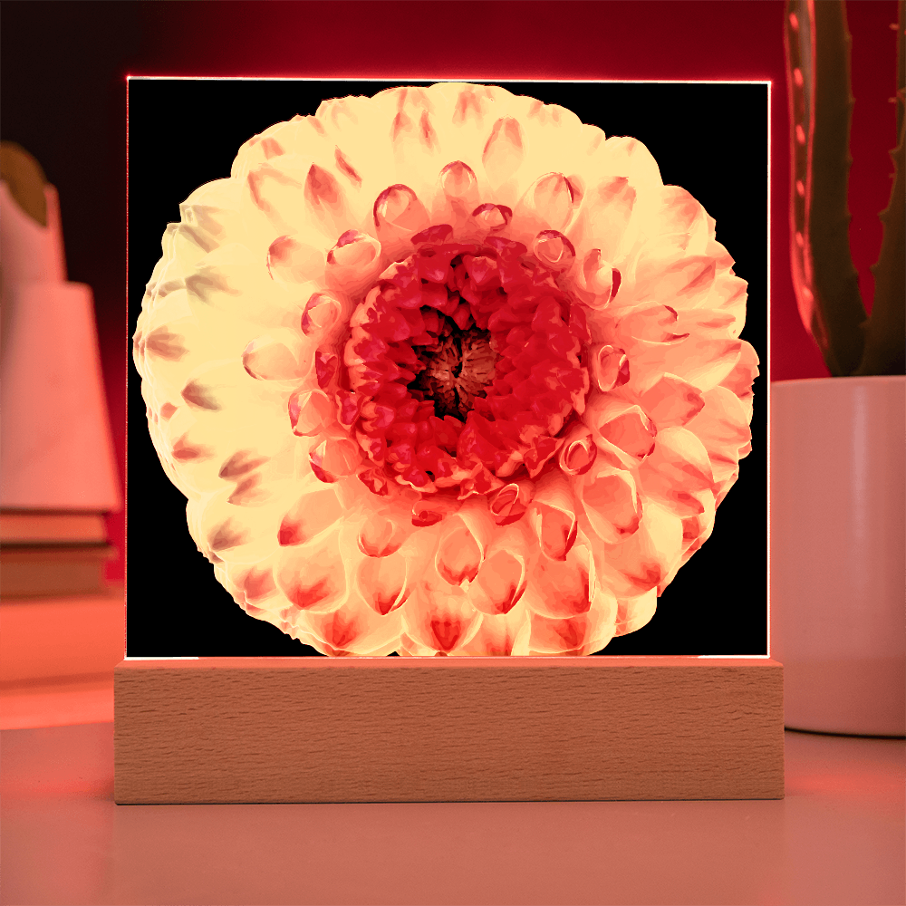 “Printed Square Acrylic Plaque – Handcrafted Vibrant Wall Flower”