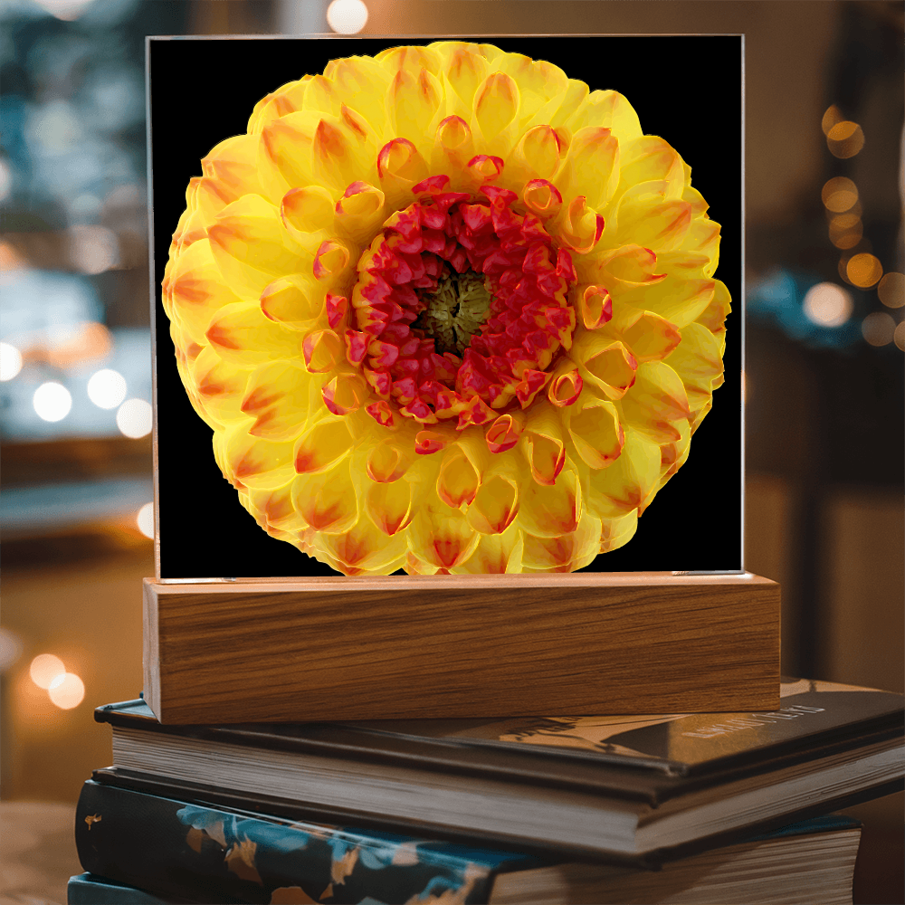 “Printed Square Acrylic Plaque – Handcrafted Vibrant Wall Flower”