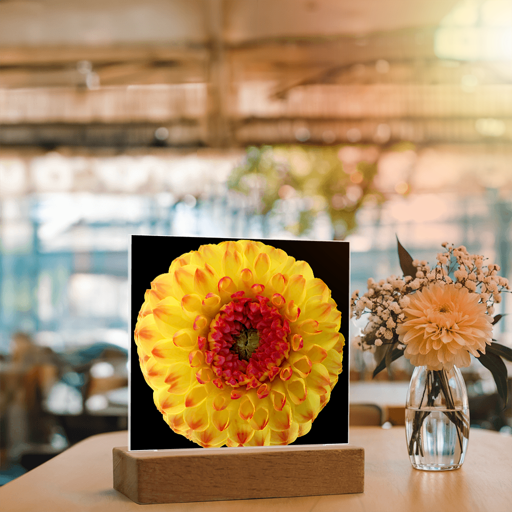 “Printed Square Acrylic Plaque – Handcrafted Vibrant Wall Flower”