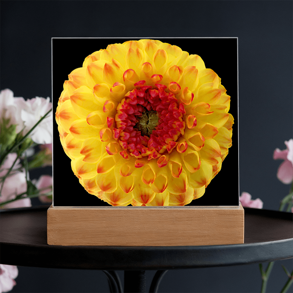 “Printed Square Acrylic Plaque – Handcrafted Vibrant Wall Flower”